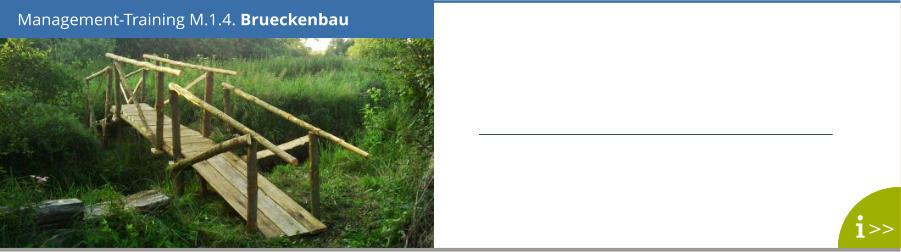 Management-Training M.1.4. Brueckenbau  >>