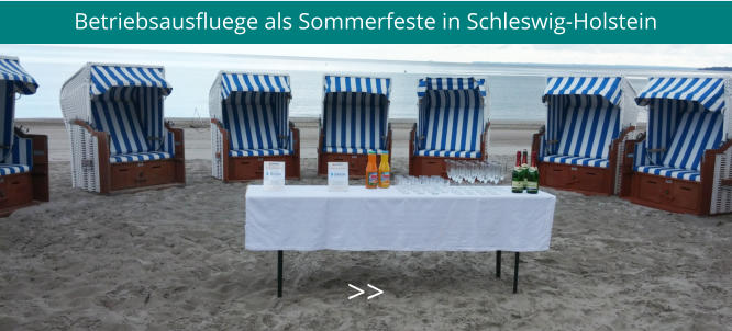 Betriebsausfluege als Sommerfeste in Schleswig-Holstein >>